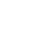 bus bus